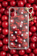 iPhone 16 plus case